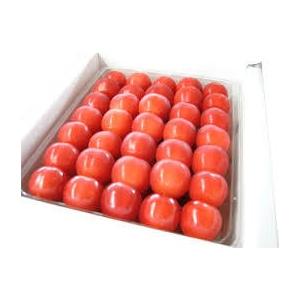 父の日 お中元にどうですか 朝採りさくらんぼ紅秀峰500g大...