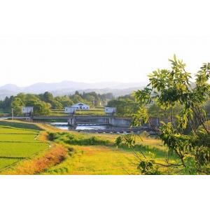 山形県飯豊町産 全国送料無料 はえぬき2ｋｇ 又はひとめぼれ2ｋｇ又は どまんなか2ｋｇ 又はあきた...