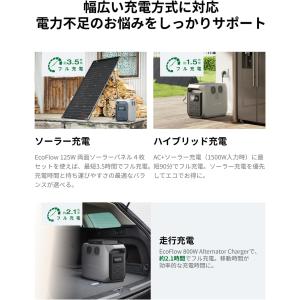 【整備済品】EcoFlow DELTA 3 1...の詳細画像5