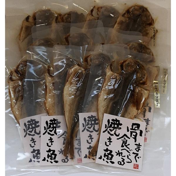 あじ干物 12枚入