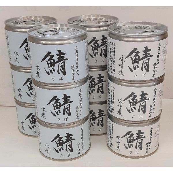 北海道道東沖から銚子沖産 鯖水煮缶・味噌煮缶12缶セット