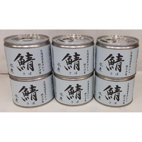 北海道道東沖から銚子沖産 鯖水煮缶6缶