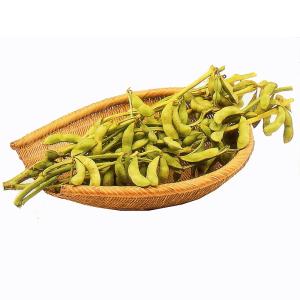 枝豆 川北産 丹波 黒豆 枝豆 3束 3kg