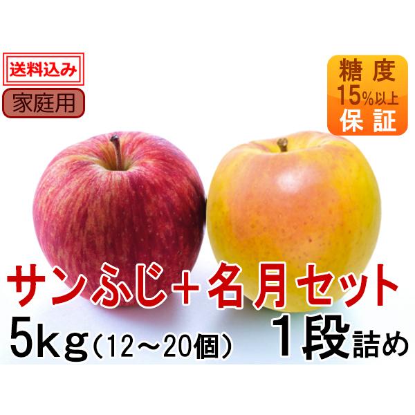 「サンふじ＋名月セット」家庭用 5kg(1段詰め)12〜20個（糖度15%以上保証）送料込み【岩木山...