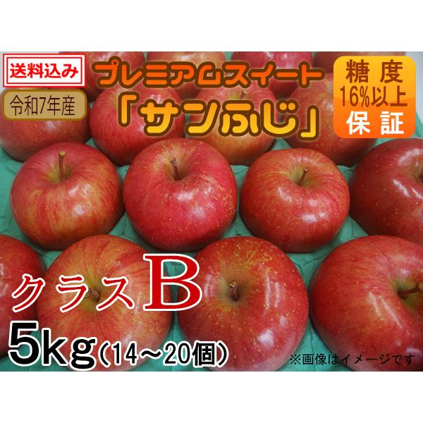 プレミアムスイート「サンふじ」クラスB 5kg（14〜20個）令和7年産糖度16％以上保証【岩木山麓...