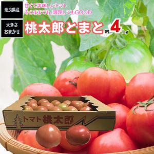 トマト とまと 桃太郎トマト 約4ｋｇ １箱 奈良産