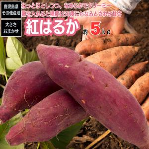 さつまいも サツマイモ 紅はるか べにはるか 約5Kg 産地厳選｜iimonofes