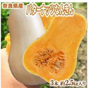 かぼちゃ 南瓜 バターナッツなんきん 奈良県産 3本 約2.5ｋｇ 送料無料