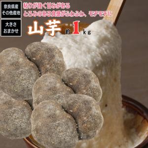 やまいも 山芋 山の芋 奈良県産 その他産地 約1Kg