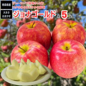 りんご ジョナゴールド 約5ｋｇ 青森県