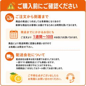 デーツ 王様のデーツ習慣 150g 10袋セットの詳細画像5