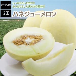 メロン ハネジューメロン メキシコ 2玉 約4.5ｋｇ 甘い｜iimonofes