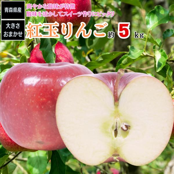 りんご 紅玉りんご 約5kg 甘い 青森県 その他産地