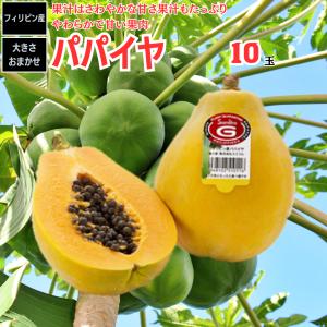 パパイヤ フィリピン産 10玉入り1箱