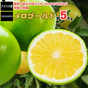 メロゴールド 約5kg アメリカ産 グレープフルーツ 文旦