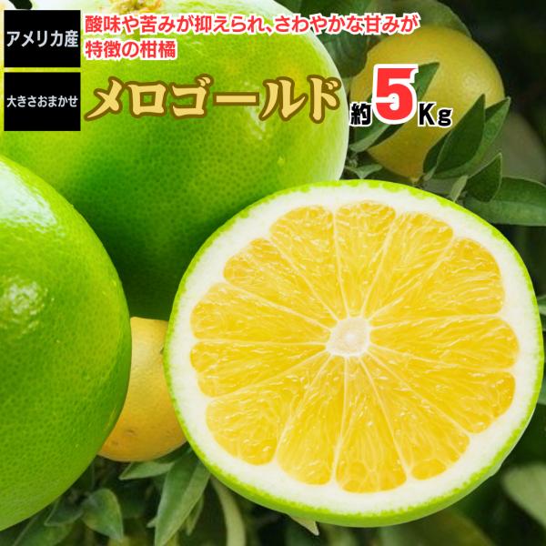 メロゴールド 約5kg アメリカ産 グレープフルーツ 文旦