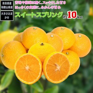 スイートスプリング みかん 和歌山 奈良 その他産地 約10ｋｇ