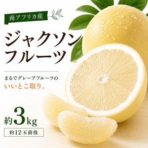 ジャクソンフルーツ 約3kg（12玉前後） 南アフリカ産 夏限定 希少 柑橘 グレープフルーツ 送料無料