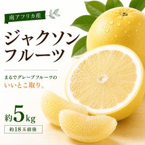 ジャクソンフルーツ 約5kg（20玉前後） 南アフリカ産 夏限定 希少 柑橘 グレープフルーツ 送料無料