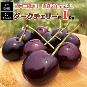 チェリー さくらんぼ チリ産 ダークチェリー 約1ｋｇ 大玉限定 果物 フルーツ