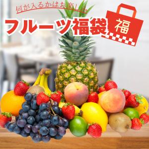 果物 福袋 フルーツ 詰め合わせ セット 送料無料｜iimonofes