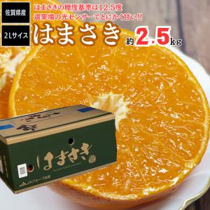 はまさき 約2.5ｋｇ 佐賀県産 ＪＡからつ 甘い みかん 柑橘