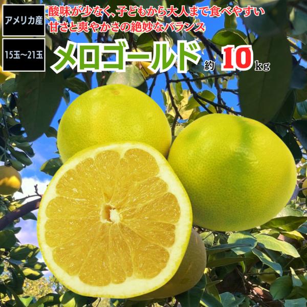 メロゴールド 約10kg アメリカ産 グレープフルーツ 文旦