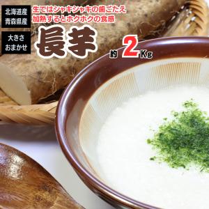 長芋 ながいも 約２ｋｇ 青森県産 北海道産｜iimonofes