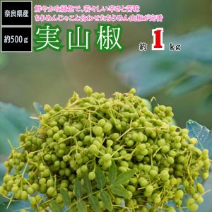 実山椒 みさんしょ 生山椒 奈良県産 約300ｇ