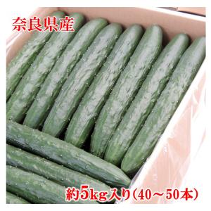 きゅうり 奈良県産 約5ｋｇ入り