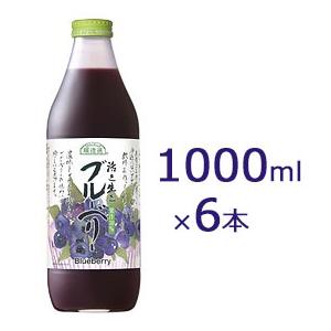 マルカイ 順造選 ブルーベリー 1000ml×6本 【送料無料】｜iimonokenko