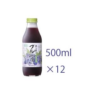 マルカイ 順造選 ブルーベリー 500ml×12本 【送料無料】｜iimonokenko