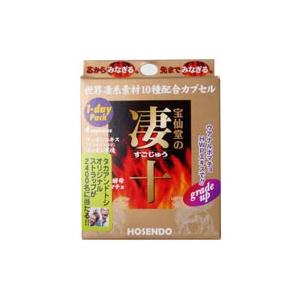 凄十 1DAYパック