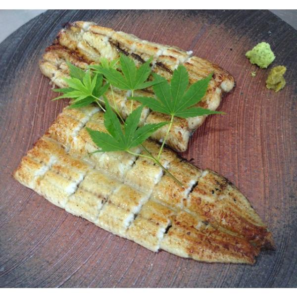 国産 共水うなぎの白焼真空パック １匹分（１１０ｇ）３枚 お取り寄せ グルメ ギフト 【うなぎ料理専...