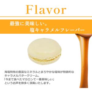 母の日 ギフト 洋菓子 シマエナガ マカロン ...の詳細画像3