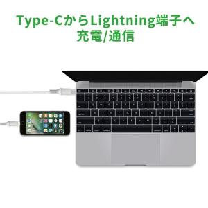 Apple 純正 PD Type-C to L...の詳細画像2