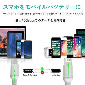 Apple 純正 PD Type-C to L...の詳細画像4