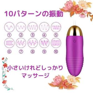 ハンディマッジャー小型 電動マッジ器 ワイヤレ...の詳細画像2