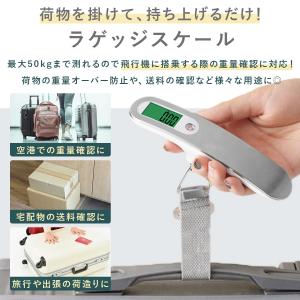 ラゲッジスケール デジタルスケール 吊り下げ式...の詳細画像2