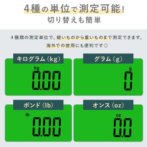 ラゲッジスケール デジタルスケール 吊り下げ式...の詳細画像5