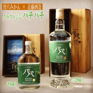 五島の椿 GOTOGIN the origin ゴトジン クラフトジン 椿ジン 47度