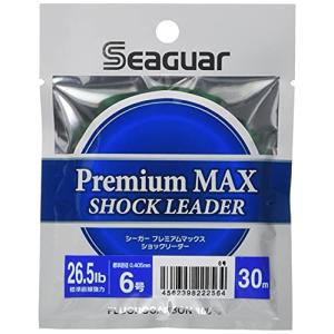 シーガー(Seaguar) リーダー シーガー プレミアムマックス ショックリーダー30m 9.5lb 2号 透明｜iinos
