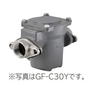 ◆在庫有り！台数限定！日立 砂こし器【GF-C25Y】鋳鉄製 配管口径25mm (旧品番 GF-C25X)｜iisakura39