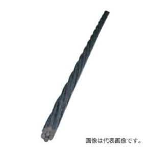 Яジャッピー/JAPPY【JMS 520】メッセンジャーワイヤー 5.5SQ 長さ20m