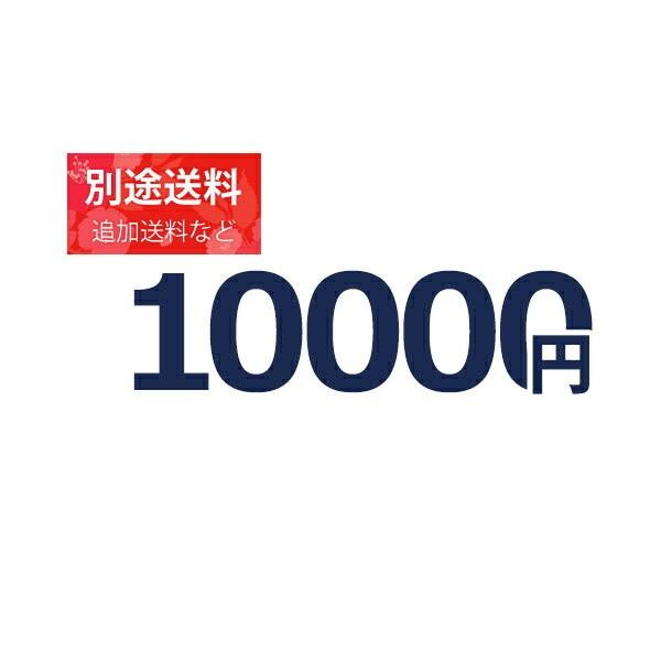 『1万円分の別途追加料金』追加料金等の別途追加料金専用ページ【10000円】