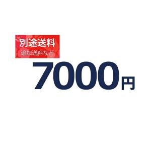 『7千円分別途追加料金』追加料金等の別途追加料金専用ページ【7000円】｜iisakura39