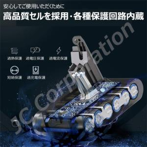 iieco ダイソン V10 SV12 対応 ...の詳細画像2