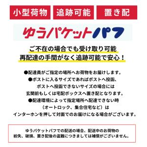 iieco ダイソン ポストモーターフィルター...の詳細画像5