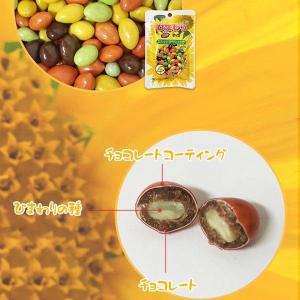 [ヘテ] ひまわり種チョコ / 40g チョコ...の詳細画像4