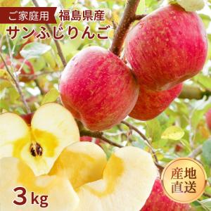 福島県産 りんご サンふじ 3kg 訳あり ご家庭用 福島　飯坂 12月上旬より順次発送　送料無料 産地直送 蜜入り 人気 大玉 小玉 サイズ混在